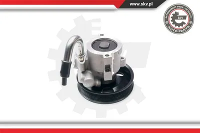 Hydraulic Pump, steering Chevrolet AVEO / KALOS Saloon · Chevrolet AVEO / KALOS Hatchback · Daewoo KALOS
