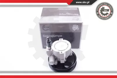 Hydraulic Pump, steering Nissan KUBISTAR Van · Renault MEGANE I · Renault MEGANE I Coach