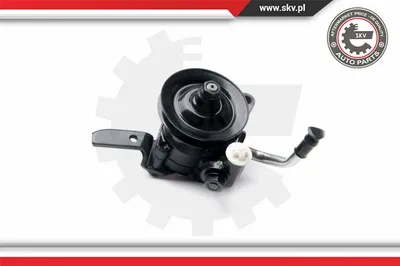 Hydraulic pump, steering ESEN Skv 10SKV210