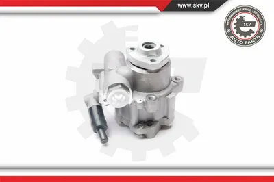 Hydraulic Pump, steering Vw LT 28-35 II Bus · Vw LT 28-46 II Van · Vw LT 28-46 II Platform/Chassis