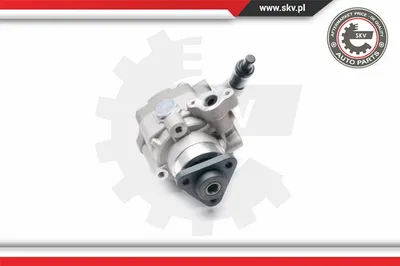Hydraulic Pump, steering Vw MULTIVAN T5 · Vw TRANSPORTER T5 Platform/Chassis (7JD, 7JE, 7JL, 7JY, 7JZ, 7F · Vw TRANSPORTER T5 Van