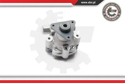 Hydraulic Pump, steering Opel MOVANO B Van · Opel MOVANO B Platform/Chassis · Opel MOVANO B Bus