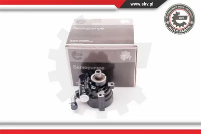 Hydraulic Pump, steering Nissan KUBISTAR Van · Renault CLIO I · Renault KANGOO