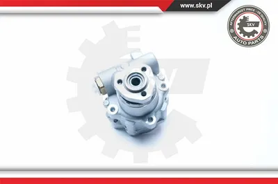Hydraulic Pump, steering Ford GALAXY I · Seat ALHAMBRA · Vw SHARAN