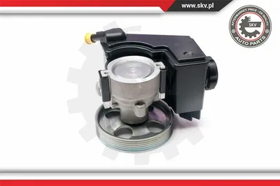 Hydraulic Pump, steering Citroën XSARA · Citroën XSARA Break · Citroën XSARA Coupe