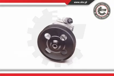 Hydraulic Pump, steering Land Rover FREELANDER 2