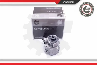 Hydraulic Pump, steering Citroën EVASION MPV · Citroën JUMPY I · Citroën JUMPY I Van