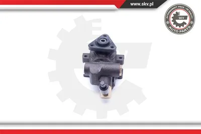 Hydraulic Pump, steering Ford FIESTA III · Ford FIESTA IV · Ford FIESTA Box Body/MPV
