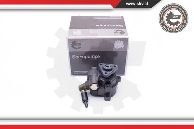 Hydraulic Pump, steering Ford TRANSIT Bus · Ford TRANSIT Van · Ford TRANSIT Platform/Chassis