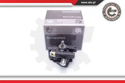 Hydraulic Pump, steering Toyota RAV 4 I · Toyota RAV 4 I Cabrio