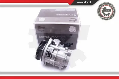 Hydraulic Pump, steering Vw LT 28-35 II Bus · Vw LT 28-46 II Van · Vw LT 28-46 II Platform/Chassis