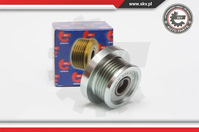 Alternator Freewheel Clutch Renault KANGOO · Renault CLIO II · Renault KANGOO Express