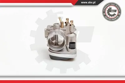 Throttle Body Audi A3 · Audi A3 Sportback · Seat TOLEDO II
