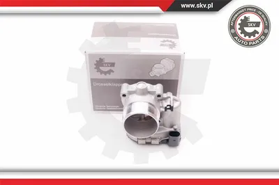 Throttle Body Audi A3 · Audi A6 C6 · Audi A3 Sportback