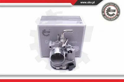 Throttle Body Hyundai i10 I · Hyundai i20 I · Hyundai i10 II
