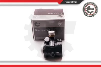 Hydraulic pump, direction ESEN SKV 1SKV0001