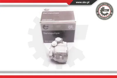 Hydraulic pump, steering ESEN Skv 1SKV0006