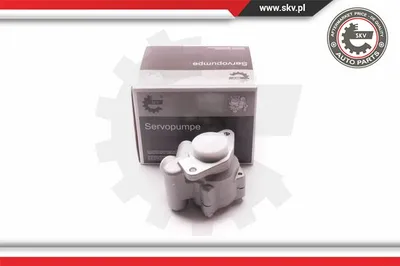 Hydraulic pump, direction ESEN Skv 1SKV0010