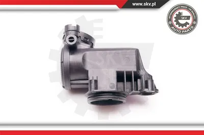 Oil Separator, crankcase ventilation Audi A2 · Seat TOLEDO II · Seat LEON