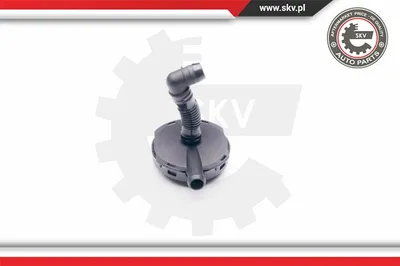 Valve, crankcase ventilation Audi A6 C5 · Audi A6 C5 Avant · Audi A4 B6