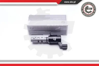Control Valve, camshaft adjustment Kia CERATO I Saloon · Kia CERATO I Hatchback · Kia SPORTAGE II