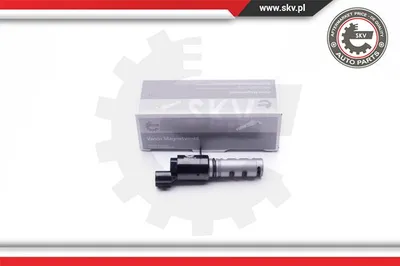 Control Valve, camshaft adjustment Kia SPORTAGE II · Kia CEE'D Hatchback · Kia CEE'D SW