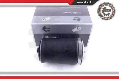 Air Spring, suspension Bmw X5