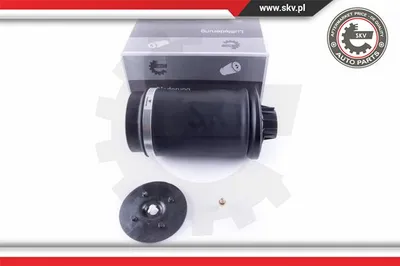 Air Spring, suspension Mercedes-Benz M-CLASS · Mercedes-Benz GL-CLASS · Mercedes-Benz GLE