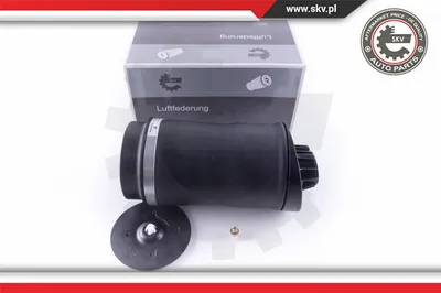 Air Spring, suspension Mercedes-Benz R-CLASS