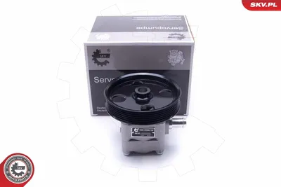 Hydraulic Pump, steering Volvo V70 II · Volvo S60 I · Volvo XC90 I