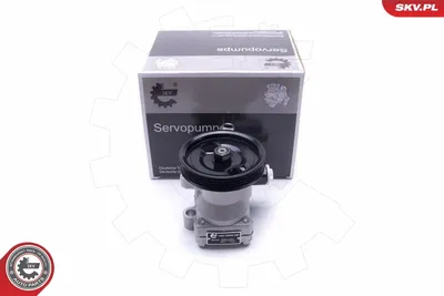 Hydraulic Pump, steering Hyundai ACCENT I · Hyundai ACCENT Saloon · Hyundai ACCENT II