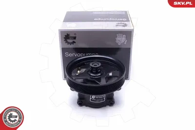Hydraulic Pump, steering Ford KA · Ford KA Van