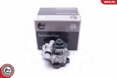 Hydraulic Pump, steering Audi A6 C6 · Audi A6 C6 Avant