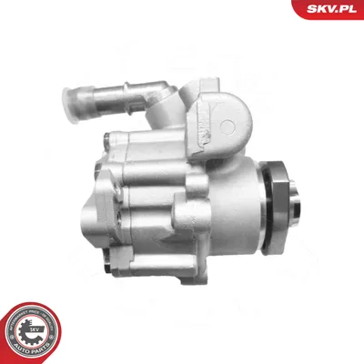 Hydraulic Pump, steering Audi A3 · Ford GALAXY I · Ford GALAXY MK I VAN