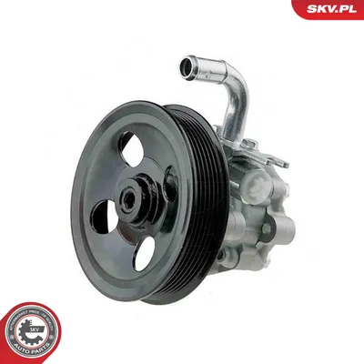 Hydraulic Pump, steering Hyundai SANTA FÉ II · Kia SORENTO II
