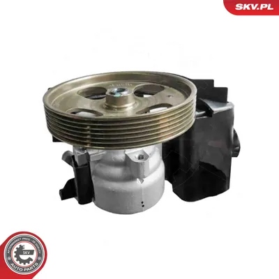Hydraulic Pump, steering Citroën BERLINGO / BERLINGO FIRST Box Body/MPV · Citroën BERLINGO / BERLINGO FIRST MPV · Citroën XSARA