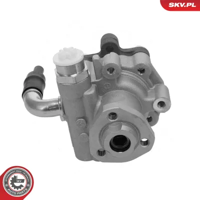Hydraulic Pump, steering Audi A3 · Ford GALAXY I · Seat CORDOBA