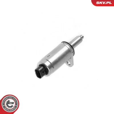 Control Valve, camshaft adjustment Audi A8 D3 · Audi A6 C6 · Audi A6 C6 Avant