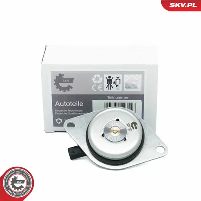 Central Magnet, camshaft adjustment Opel CORSA D · Opel INSIGNIA A · Opel INSIGNIA A Saloon