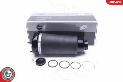 Air Suspension Strut Mercedes-Benz R-CLASS