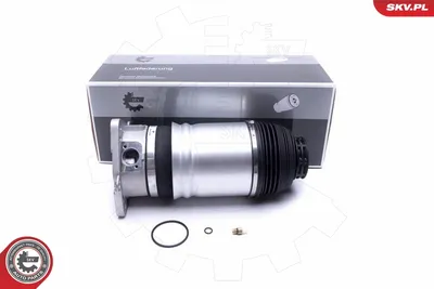 Air Suspension Strut Audi A8 D3 · Vw PHAETON