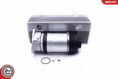 Air Suspension Strut Audi A8 D3 · Vw PHAETON