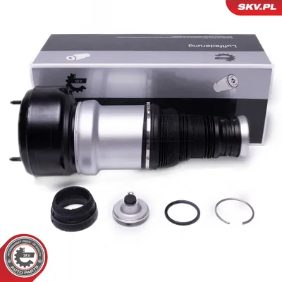Air Suspension Strut Mercedes-Benz S-CLASS · Mercedes-Benz S-CLASS Coupe