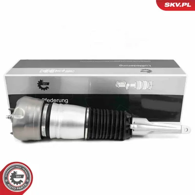 Air Suspension Strut Porsche PANAMERA