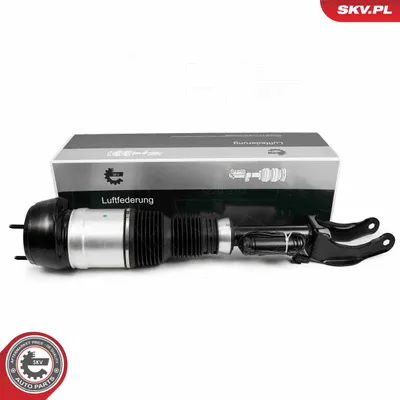 Air Suspension Strut Mercedes-Benz M-CLASS · Mercedes-Benz GL-CLASS · Mercedes-Benz GLE