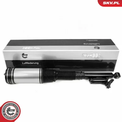 Air Suspension Strut Mercedes-Benz S-CLASS