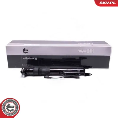 Air Suspension Strut Mercedes-Benz R-CLASS