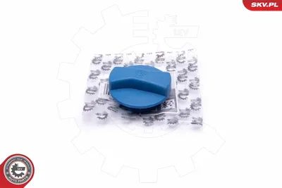 Cap, coolant tank Audi A4 B5 · Audi A6 C4 · Audi A6 C5