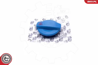 Cap, coolant tank Audi 90 B3 · Audi A4 B5 · Audi A6 C4