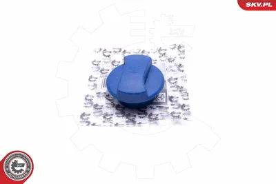Cap, coolant tank Ford GALAXY I · Ford GALAXY MK I VAN · Seat ALHAMBRA